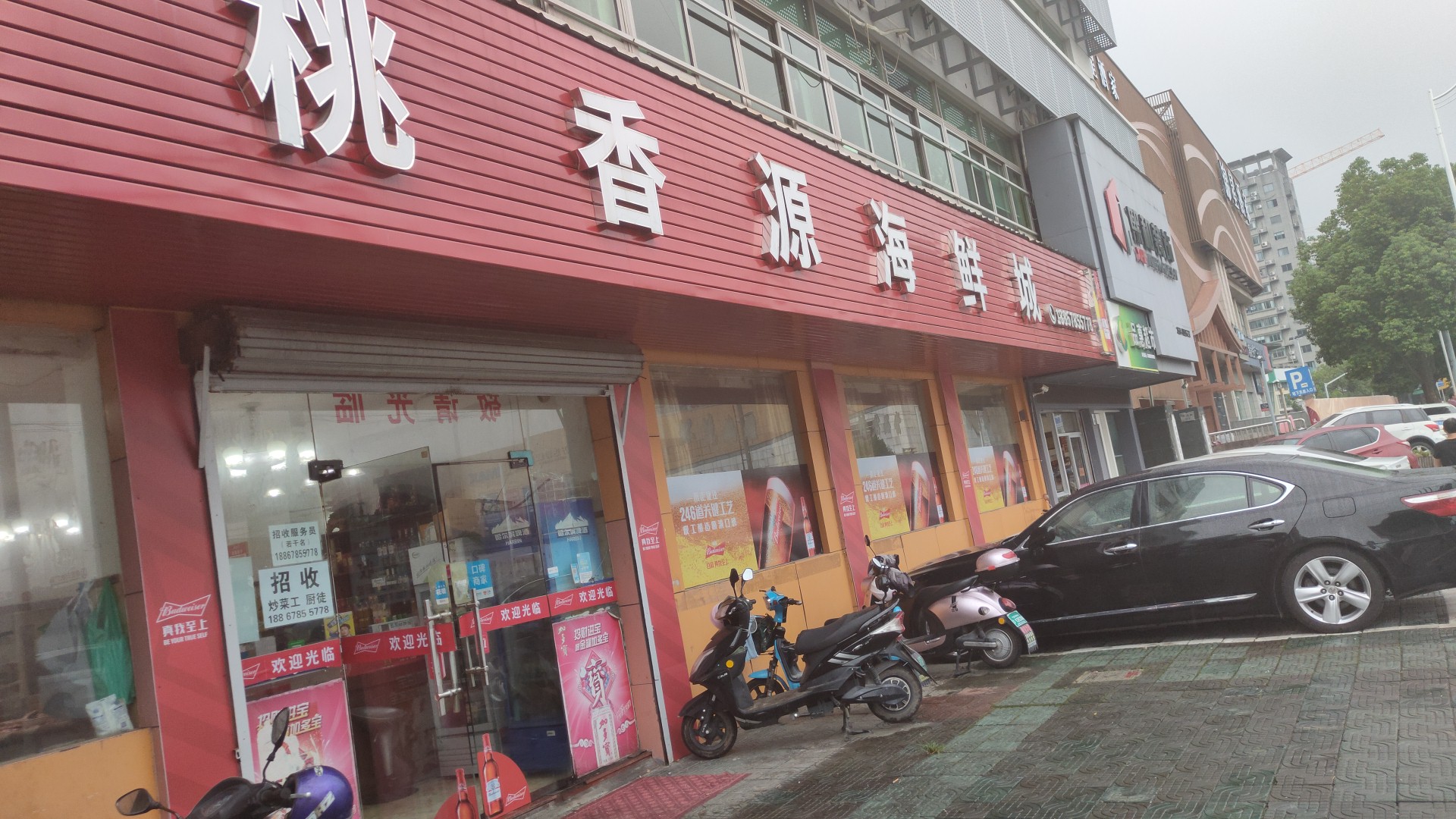桃香源